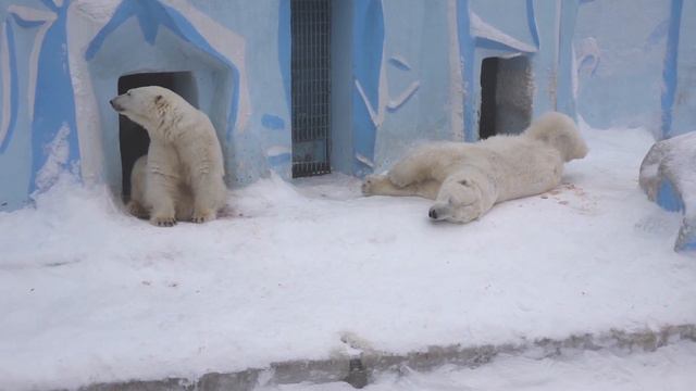 Кай и Герда просыпаются 04 03 2021 смотреть онлайн