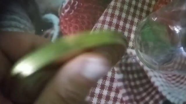 Домовая гармония