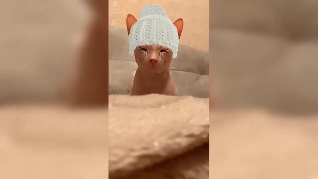 Как на мне выглядят некоторые маски из Инстаграмма! смотреть онлайн