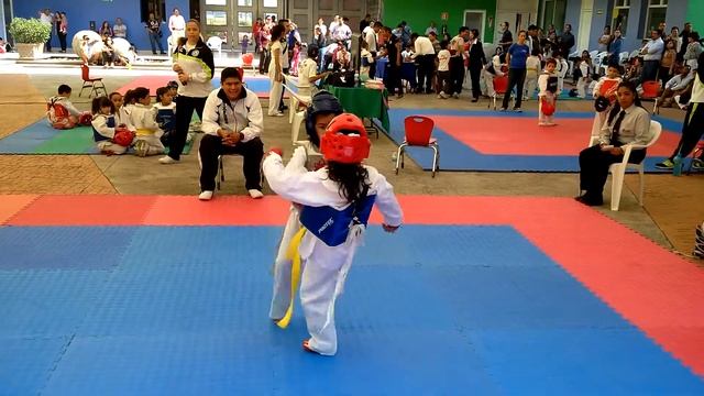 Marite Taekwondo Torneo Wexford 2015 смотреть онлайн