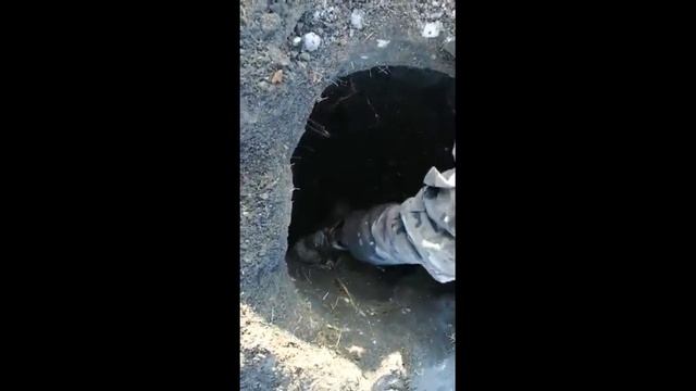 Охота на лису, добор подранка смотреть онлайн