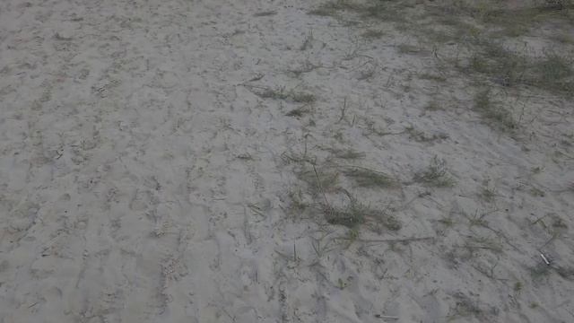 Кемпинг на Голубых озерах/Цена отдыха в палатке/Рыбалка на вечерней зорьке/У Мишки сорвалась рыба/ смотреть онлайн
