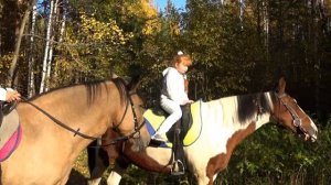 Катание на лошадях. Верховая езда- ипотерапия для Насти