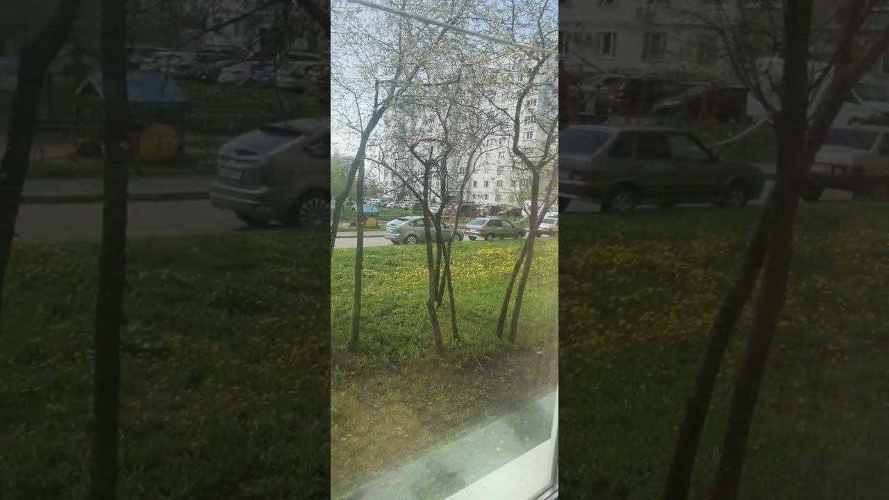 Продаю 4хкомнатную квартиру на 1 этаже в Подольске. Московская область. Риелтор Светлана смотреть онлайн