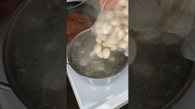 Грибы: Мир Сокровищ