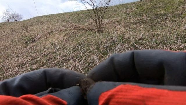 Затерянный хутор - где не ступала нога камрада смотреть онлайн