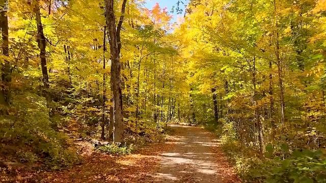 Miracles : Piano Instrumental Music With Scriptures & Autumn Scene ?CHRISTIAN piano смотреть онлайн