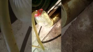 Мопед Альфа заливаю бензин подготовка к поездке