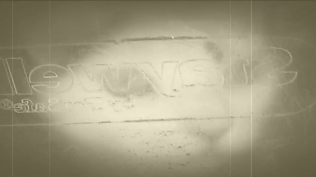 Beard of Destiny - Song of the Old Pusscat [Official Music video] смотреть онлайн