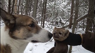 УРАГАН ОТДЫХАЕТ. НА РАБОТУ ВЫШЕЛ РЫЖИК. смотреть онлайн