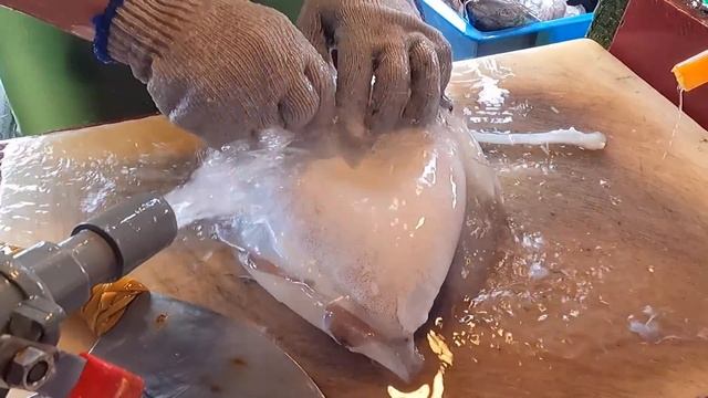 Nanfang-ao Seafood Market & Fish Cutting(Bonito/Cuttlefish/Pufferfish)