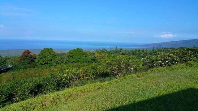 Gorgeous morning on the Coffee Plantation смотреть онлайн