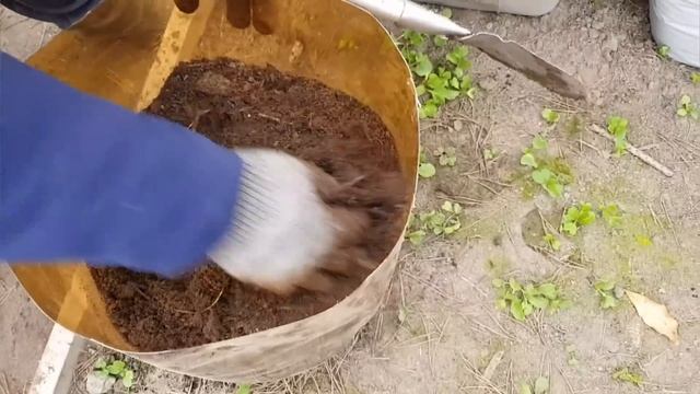 ВЕСНА ПРИШЛА! смотреть онлайн