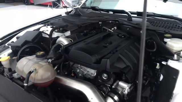 2015 FORD MUSTANG ECOBOOST ROUSH STAGE-1 BIG TURBO WITH MANY UPGRADES смотреть онлайн