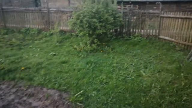 Весенняя ранняя весна в деревне. #деревня #гречихи #вечер #огород #земля смотреть онлайн