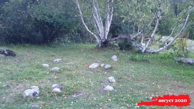 Карачаево-Черкесия 2020 - водопад на реке Белая смотреть онлайн