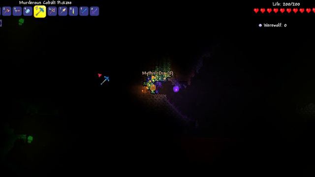 Terraria  Dividing By Zero