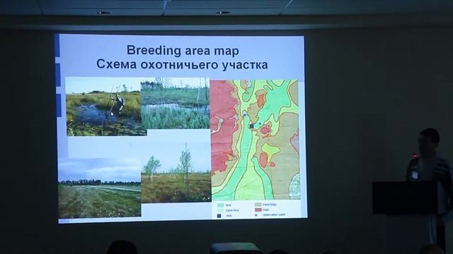 RRRCN-ОРЛЫ ПАЛЕАРКТИКИ 2013.Пакуль «Изучение бюджета времени б. подорлика...» смотреть онлайн