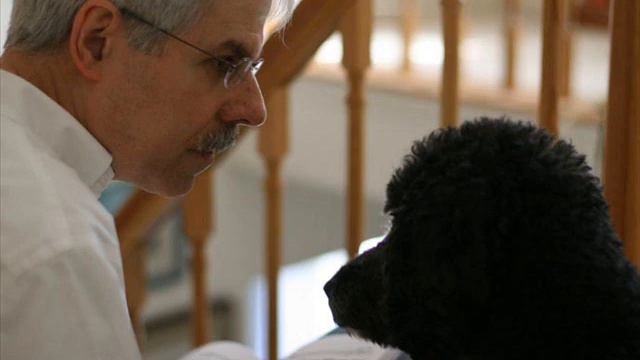 Two works by Robert Gibson: 'A Sound Within' & 'Mirage' смотреть онлайн