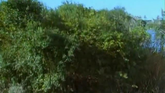 Каспийское море смотреть онлайн