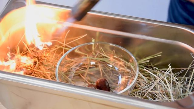 Fine Dining Pigeon & Beetroot Dish