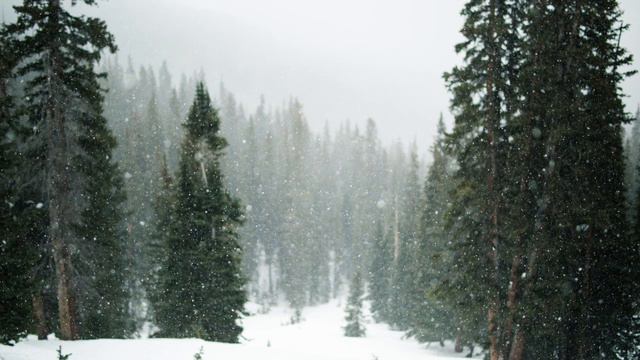 Tim Shaufert - And Around You Is Snow