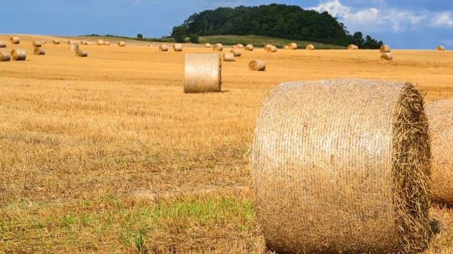 John Barleycorn (English Folk Song Instrumental - Flute & Harp) смотреть онлайн