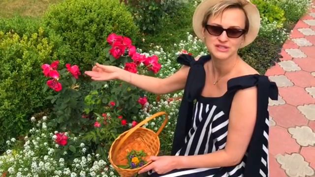 Как приготовить полезный чай | Вкусный летний чай от Ольги Малаховой | Травяной чай смотреть онлайн