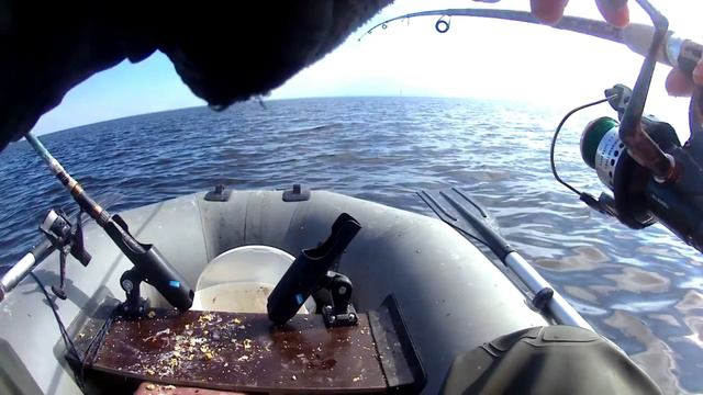 Рыбалка на Финском заливе. Отчёт за 28.04.2024. РЛЦ "Раскат", плотва.