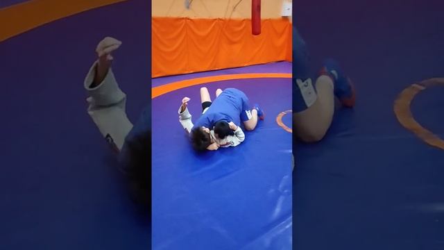 Бойду за вечер научился болевым! Быстро прогрессирует! @nechesoff ? #дзюдо #борьба #самбо #judo смотреть онлайн