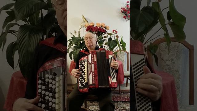 Иди вперёд к своей мечте. Кавказский хит. смотреть онлайн