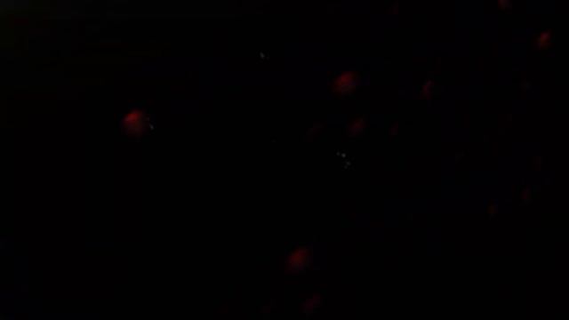 OMNI-MAN ENDING, Invicible EPILOGUE | MORTAL KOMBAT 1 смотреть онлайн