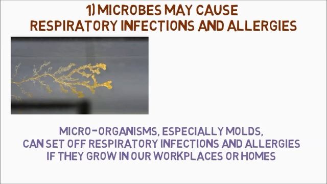 Microorganisms Role In Everyday life, Facts & Myths || 2 minute science смотреть онлайн