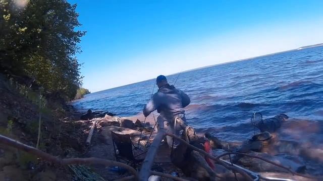 Рыбалка на Волге. Ловля леща на фидер, видео. смотреть онлайн