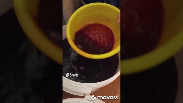 КАК Я ДОБАВЛЯЮ САХАР В ВИНО. ОГОРОД НА КУБАНИ. shorts# смотреть онлайн