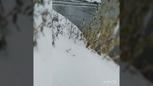 Река в Рязани которая не замерзает зимой! смотреть онлайн