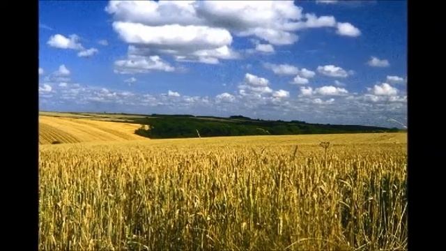 Есенин С А Затомилась деревня невесточкой смотреть онлайн