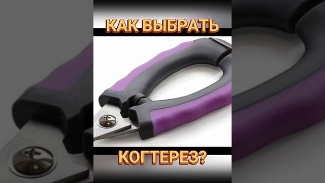 ??? Как выбрать когтерез? смотреть онлайн