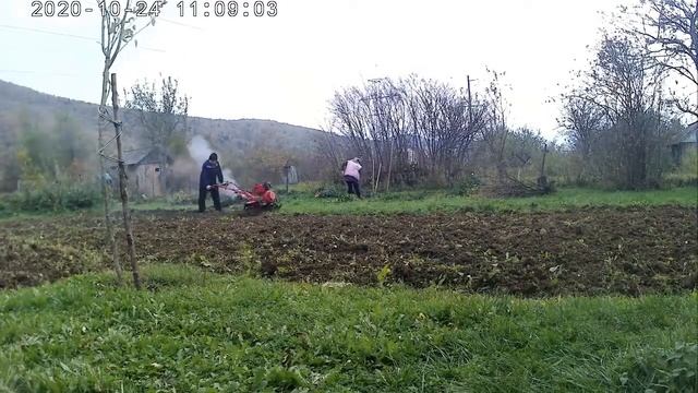 Forte 1350 - 3 смотреть онлайн