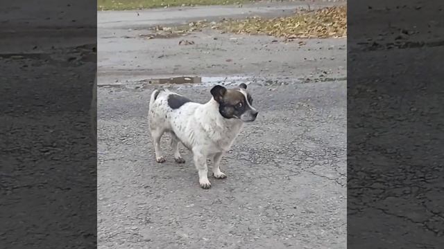 Скажи Жизни - Да ! ? 2023 смотреть онлайн