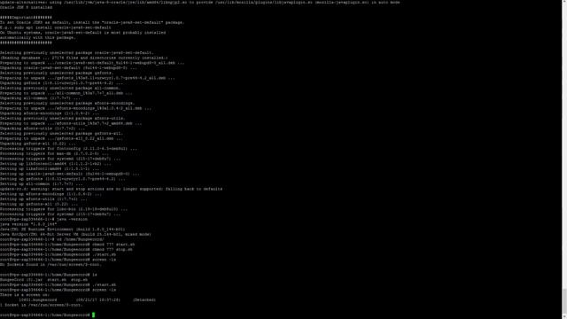 Minecraft Bungeecord Netzwerk erstellen + Java 8 Installation auf Root-/V-Server [Updatet] смотреть онлайн