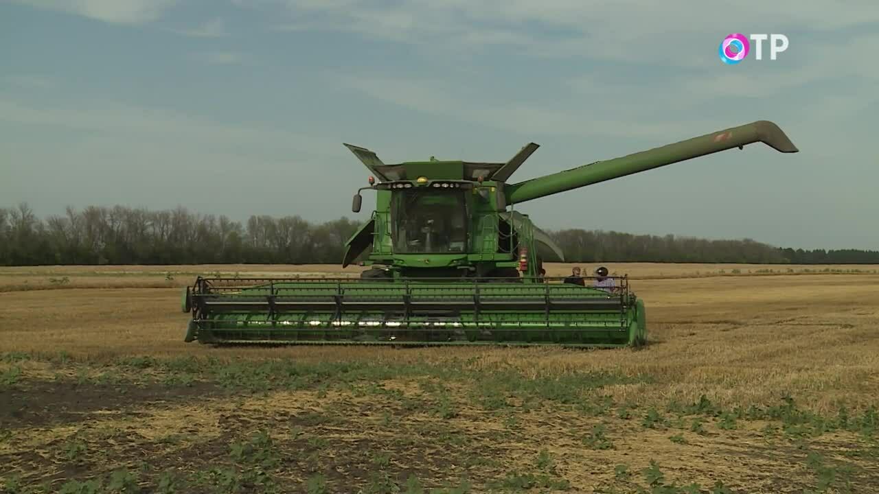 Пришел, увидел, сделал