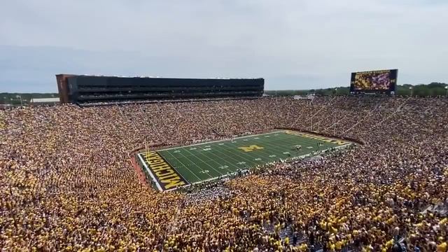 WHOLE MICHIGAN STADIUM SINGS MR. BRIGHTSIDE
