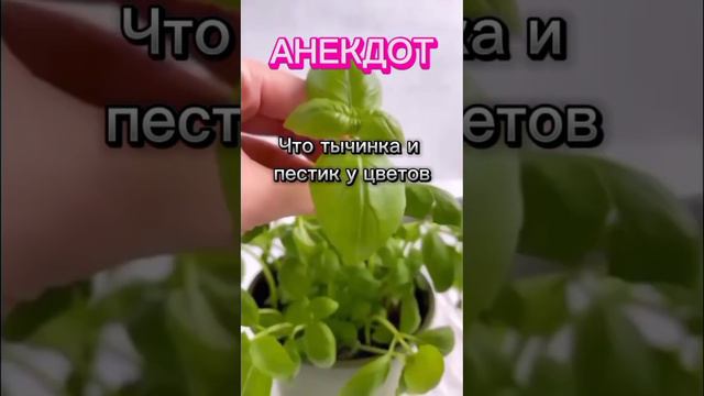 ТОП АНЕКДОТ #приколы #анекдоты #юмор #лигаплохихшуток #мемы #анекдот #шутки #смех #прикол #шутка