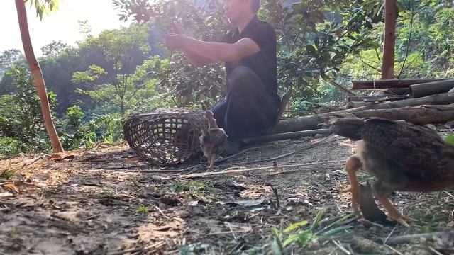 survival instinct, wild alone, taro harvest, pet care, life building (Ep 52) смотреть онлайн