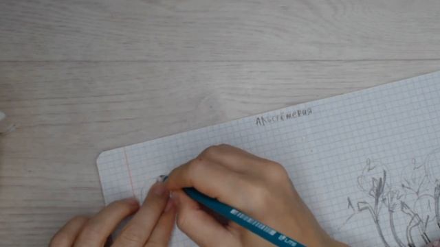 Альстрёмерия. Разбор живого цветка. Часть 2 смотреть онлайн