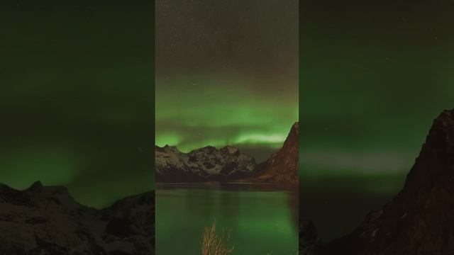Лера Астрооберег, делает прогноз на 8 ноября . Смотреть сейчас! смотреть онлайн