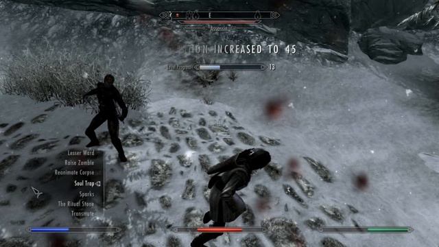 The Elder Scrolls V: Skyrim - Dark Brotherhood Assassin смотреть онлайн