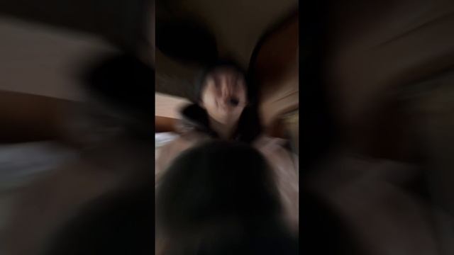 Поездка по Бурабаю! Проводите свободное время с пользой и для души. Школа по дзюдо в Астане ORTUS.K смотреть онлайн