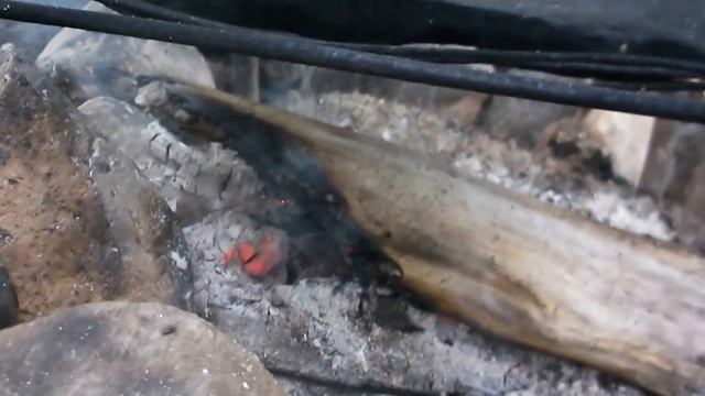 A quiet weekend at the tiny house off grid cabin смотреть онлайн